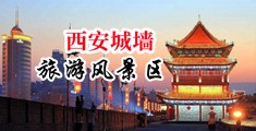白浆11p中国陕西-西安城墙旅游风景区